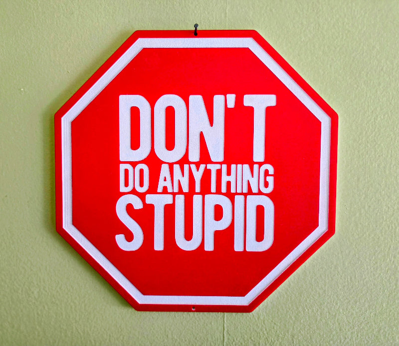 Stop Sign: Don't Do Anything Stupid / Acrylic warning sign / Magnet