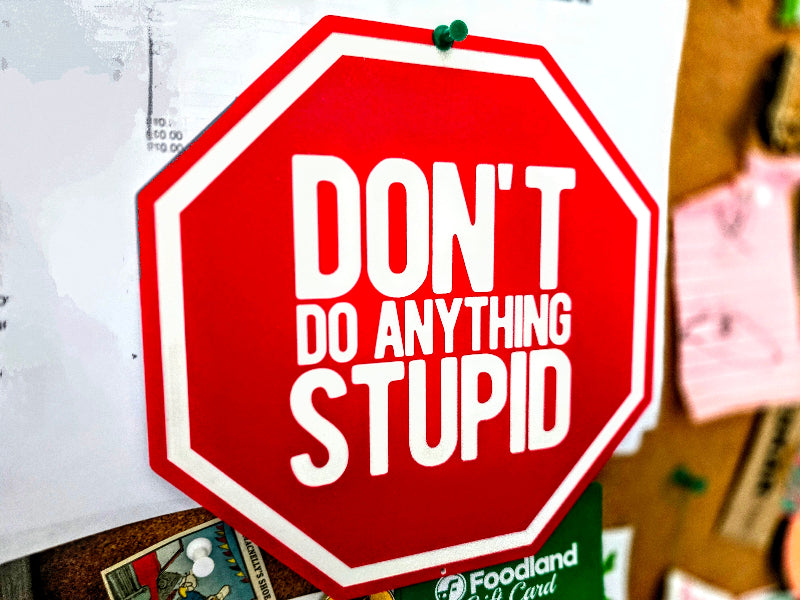 Stop Sign: Don't Do Anything Stupid / Acrylic warning sign / Magnet