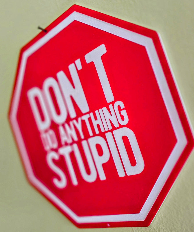 Stop Sign: Don't Do Anything Stupid / Acrylic warning sign / Magnet